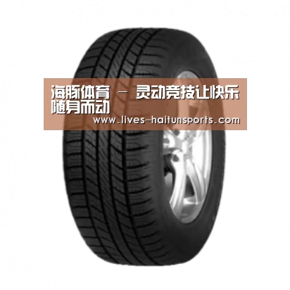 海豚直播app最新版nba产品名称八