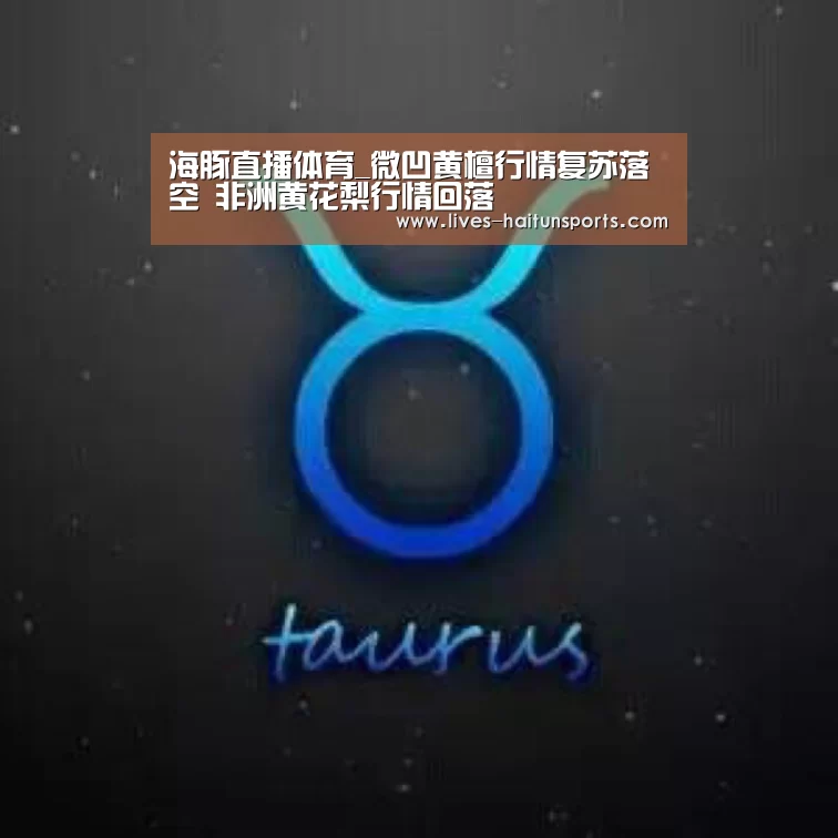 海豚直播体育