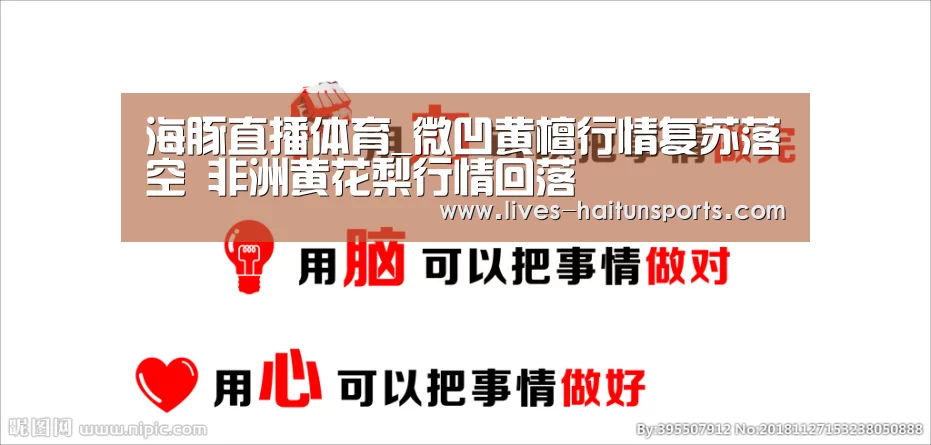 海豚直播体育