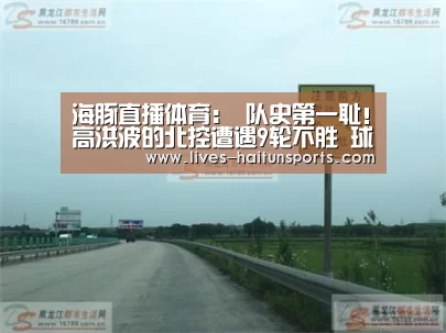 海豚直播nba直播免费观看