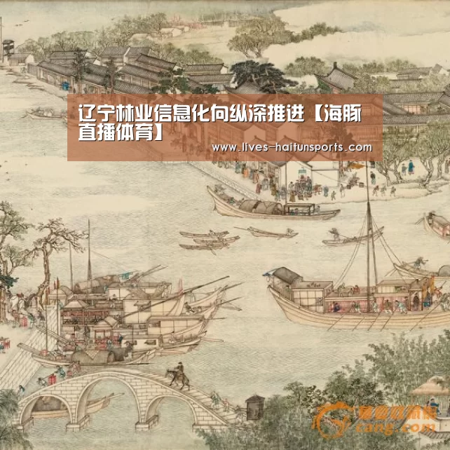 海豚直播体育