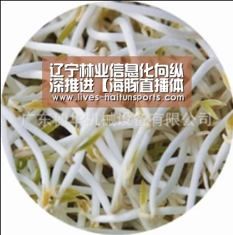 海豚直播nba直播免费观看