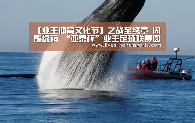 海豚直播体育