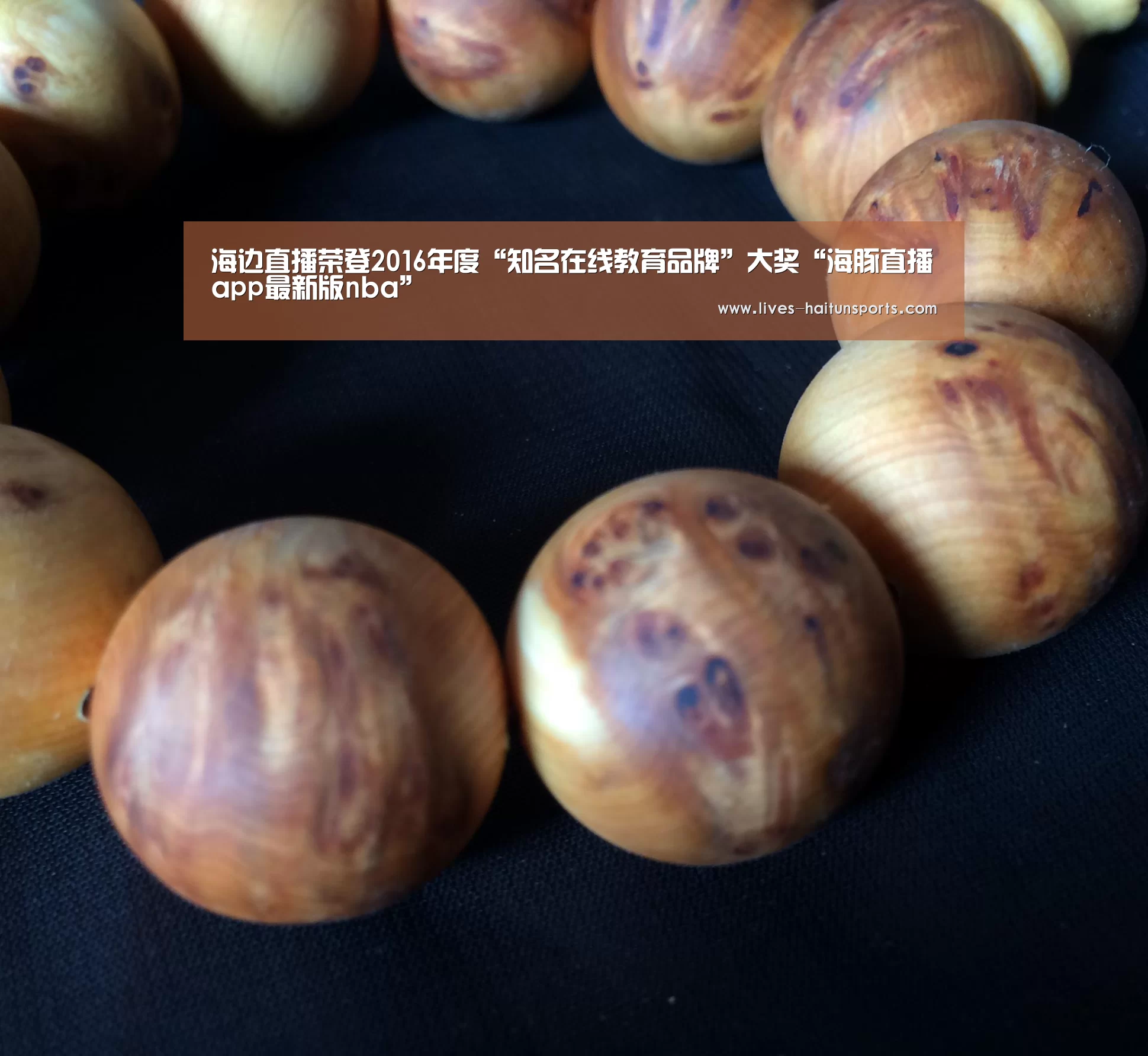 海边直播荣登2016年度“知名在线教育品牌”大奖“海豚直播app最新版nba”(图1) 海豚直播体育
