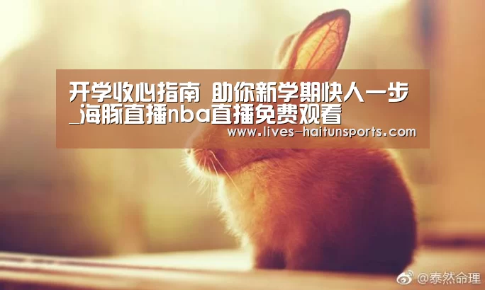 海豚直播nba直播免费观看