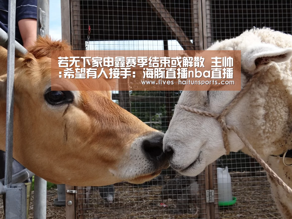 若无下家申鑫赛季结束或解散 主帅:希望有人接手:海豚直播nba直播免费观看(图1) 海豚直播nba直播免费观看