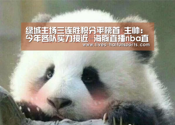 海豚直播nba直播免费观看
