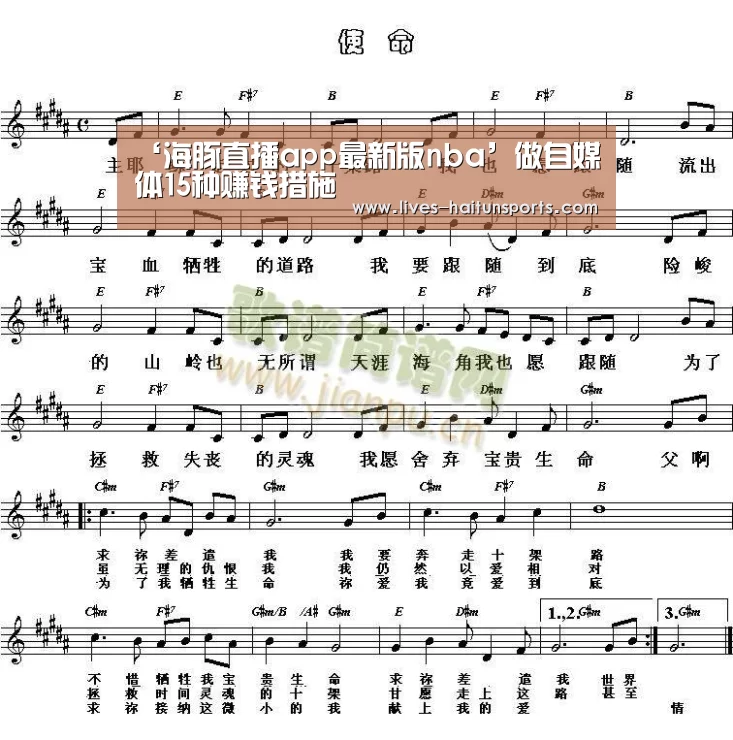 海豚直播体育
