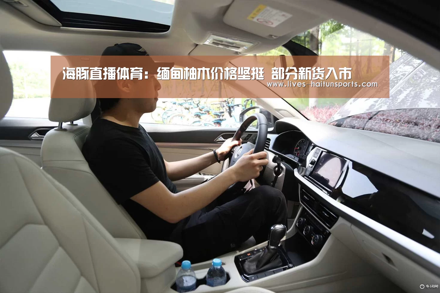 海豚直播体育:缅甸柚木价格坚挺 部分新货入市(图2) 海豚直播体育